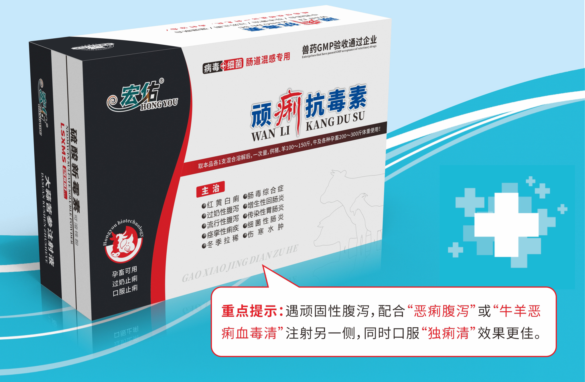 顽痢抗毒素.jpg