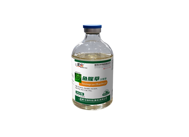 鱼腥草注射液